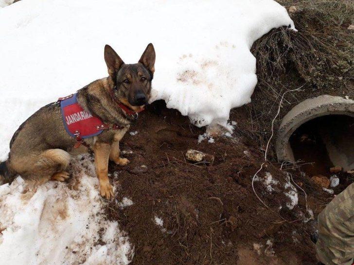 Tunceli’de 4 Sığınak İmha Edildi, 150 Kiloluk Patlayıcı Ele Geçirildi G2