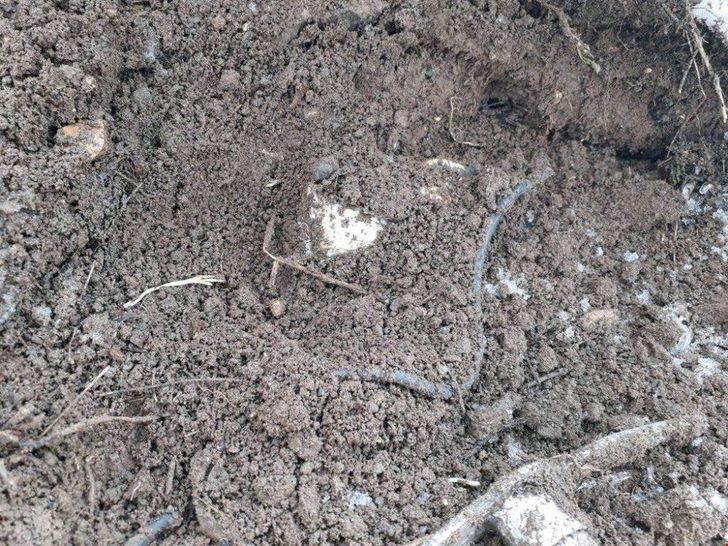 Tunceli’de 4 Sığınak İmha Edildi, 150 Kiloluk Patlayıcı Ele Geçirildi G3