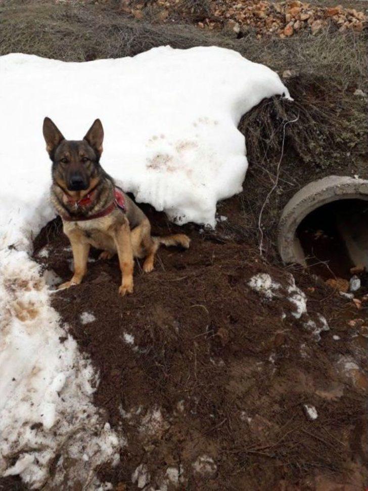 Tunceli’de 4 Sığınak İmha Edildi, 150 Kiloluk Patlayıcı Ele Geçirildi G5