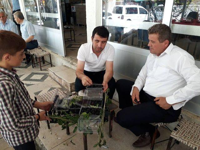 Öğrencilerin Tatil Harçlığı Böğürtlenden 1