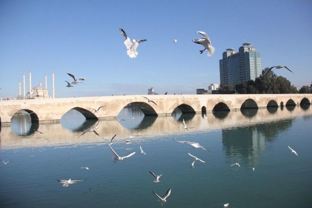 Martıların Ekmek Savaşı Kartpostallık G&ouml;r&uuml;nt&uuml;ler Oluşturdu