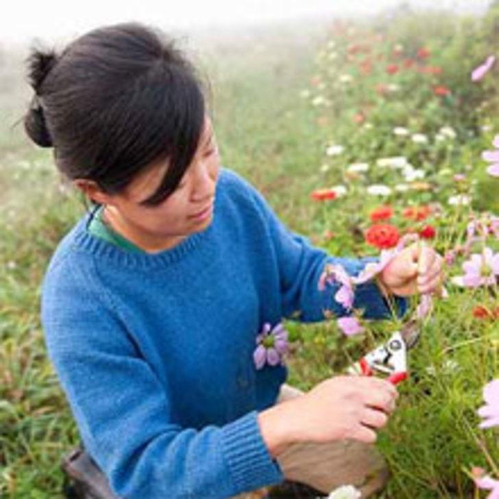 Kesme &Ccedil;i&ccedil;eklerinizin &Ouml;mr&uuml;n&uuml;z&uuml; Uzatın