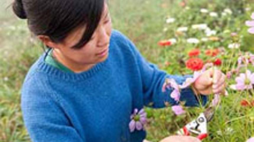 Kesme &Ccedil;i&ccedil;eklerinizin &Ouml;mr&uuml;n&uuml;z&uuml; Uzatın