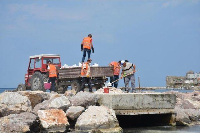 Koku Gelen Kumkapı Sahili Temizlenmeye Başladı