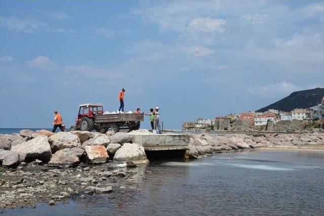 Koku Gelen Kumkapı Sahili Temizlenmeye Başladı