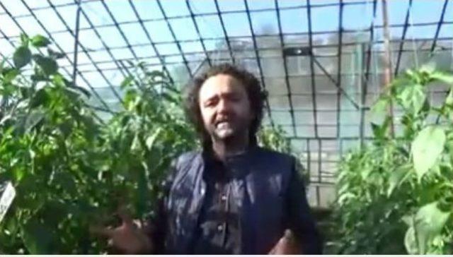 Sebze Üretimiyle İlgili İroni Videosu Çeken Öğretmen Açığa Alındı