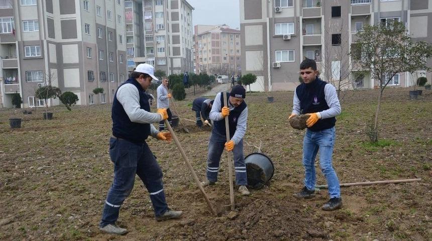 Şehzadeler’de Yeşil Alanlar 4 Yılda 2 Kattan Fazla Arttı