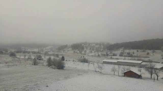 Dağ Yöresinde Kar Sevinci 2