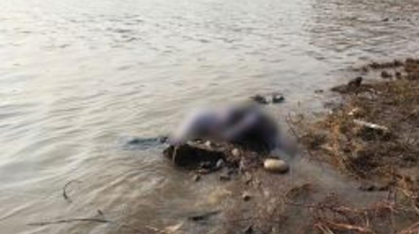 Cizre&rsquo;de Dicle Nehri&rsquo;nde Erkek Cesedi Bulundu