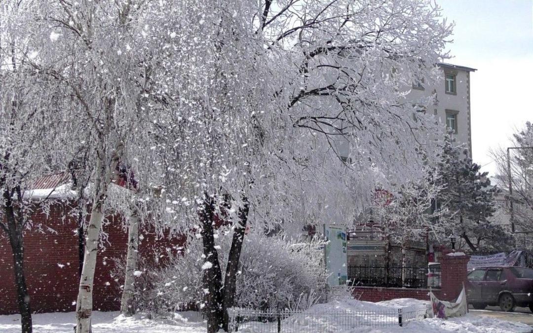 Ardahan&rsquo;da Kırağı Kartpostallık Manzara Oluşturdu