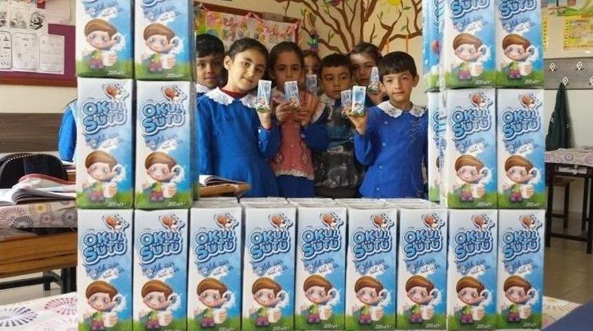 Siirt’te Okullarda Süt Dağıtımı Devam Ediyor