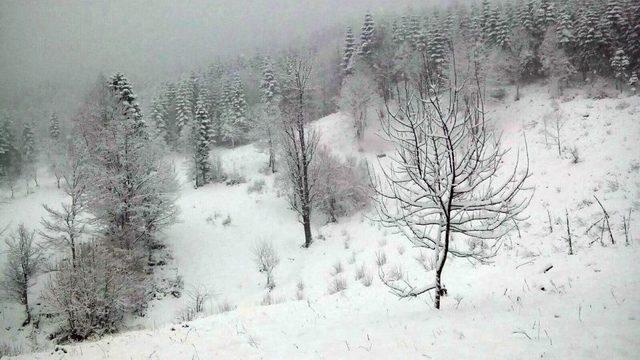 Sakarya’da Yüksek Kesimlerde Kar Kalınlığı 7 Santimetreye Ulaştı