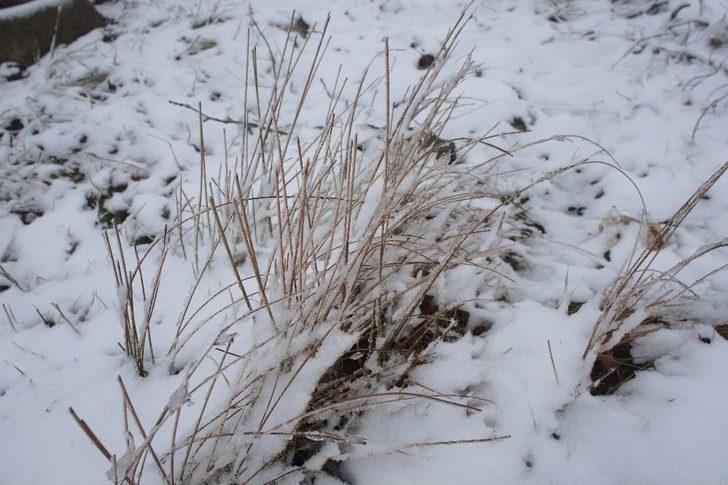 Çanakkale’de Kar Yağışı Etkili Oldu G2