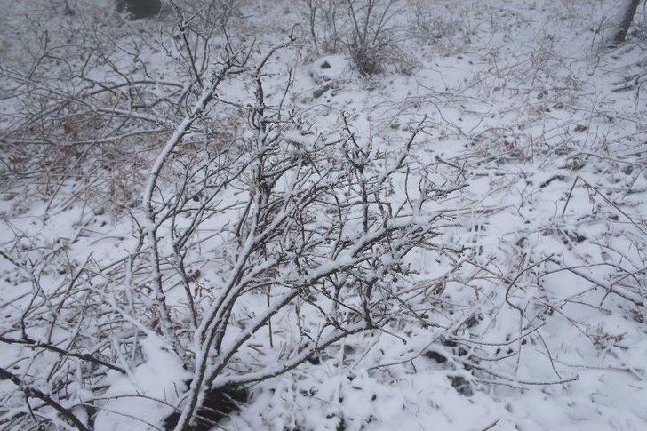 Çanakkale’de Kar Yağışı Etkili Oldu G5