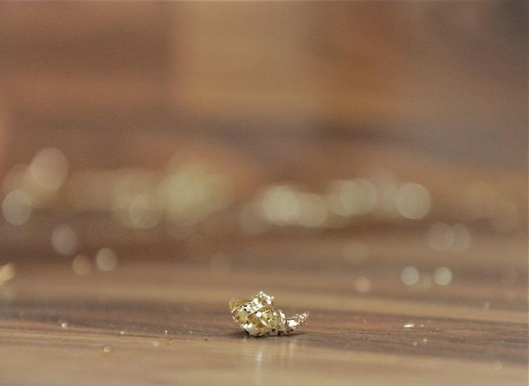 Bu At&ouml;lyenin Taşı Toprağı &rsquo;altın&rsquo;