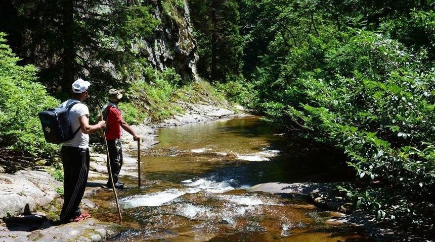 Doğa Yürüyüşünün Yeni Adresi Tekmezar Ormanları