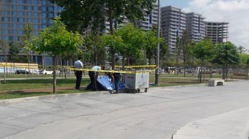 Bakırköy’de Sahilinde Cenin Bulundu