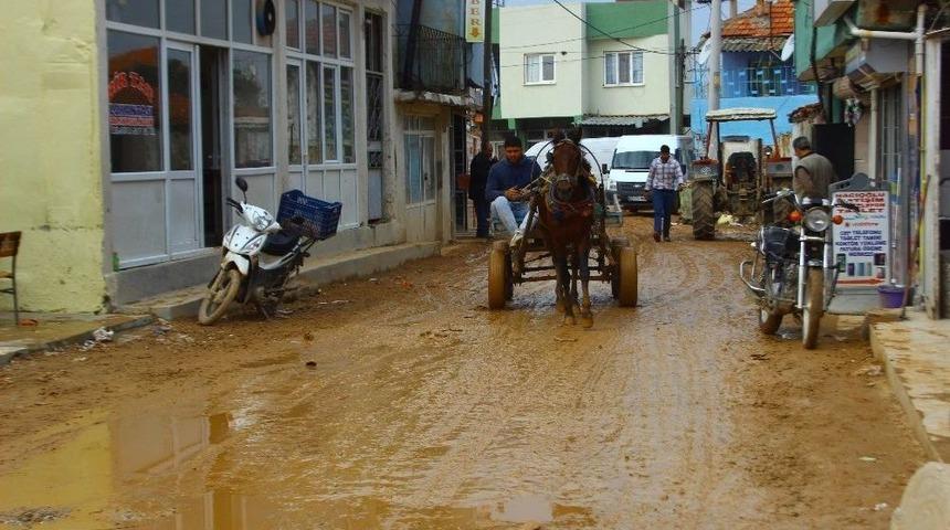 Acarlar&rsquo;da Yaşam &Ccedil;ileye D&ouml;n&uuml;şt&uuml;