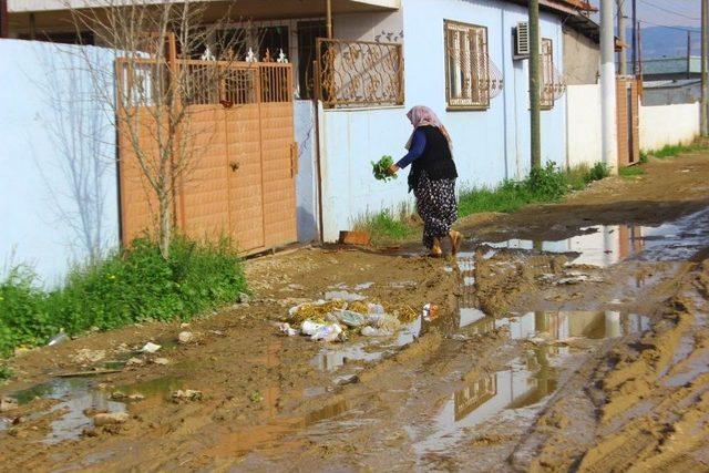 Acarlar’da Yaşam Çileye Dönüştü