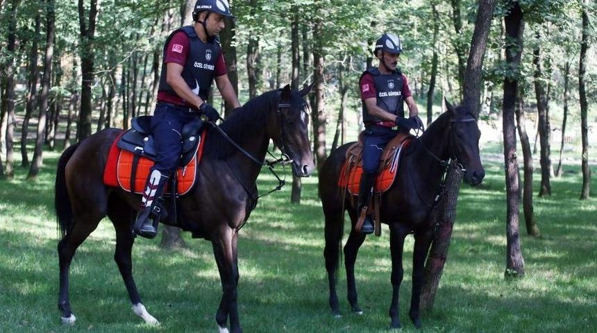 Mesire Alanlarının G&uuml;venliği Atlı Birliğe Emanet