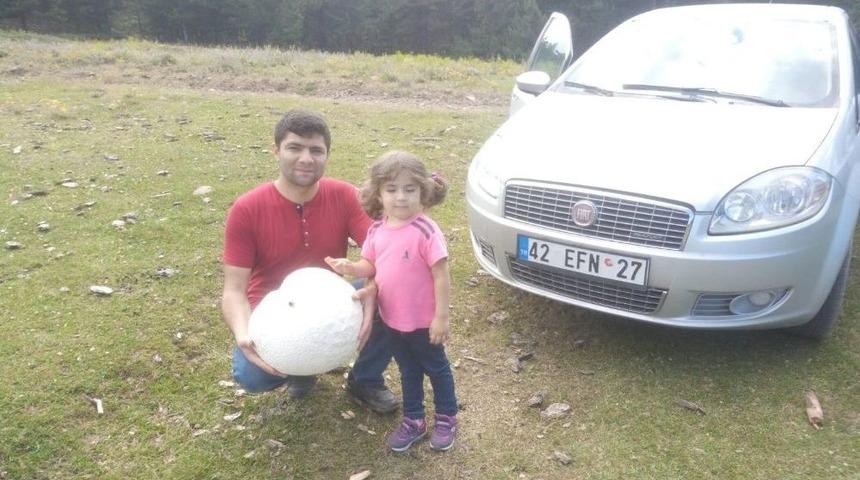 Yaylada 5 Kiloluk Dev Mantar Bulundu