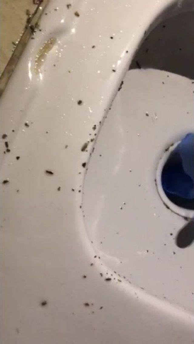 Polisin Tuvalete D&ouml;k&uuml;len Uyuşturucu İle İmtihanı 1