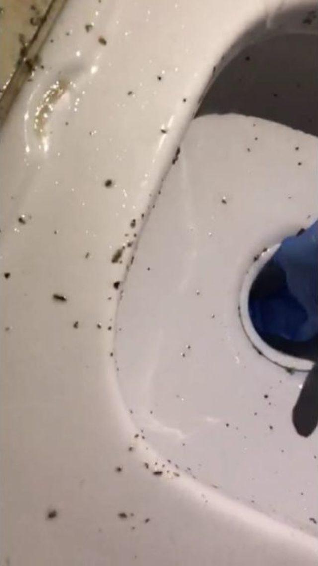 Polisin Tuvalete D&ouml;k&uuml;len Uyuşturucu İle İmtihanı 2