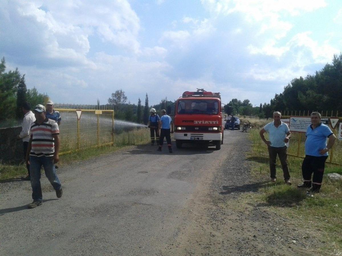Tekirdağ&rsquo;da Piknik Alanında 100 &Ccedil;am K&uuml;l Oldu