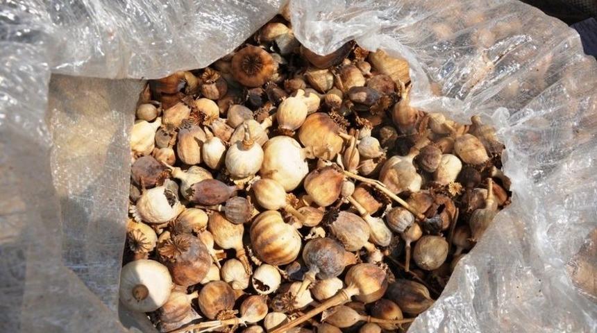 Tmo Manisa Ve İlçelerinde İlk Kez Haşhaş Kapsülü Ve Ürünlerini Alınmaya Başlandı