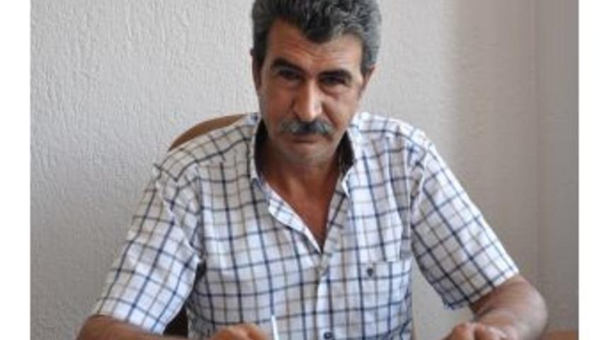 Yağmur Ve Sıcak Domatesi Vurdu