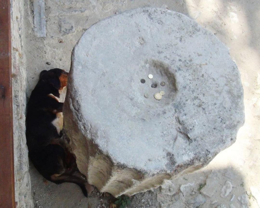 600 Yıllık &rsquo;sadaka Taşı&rsquo; Hayvanlara Umut Oldu