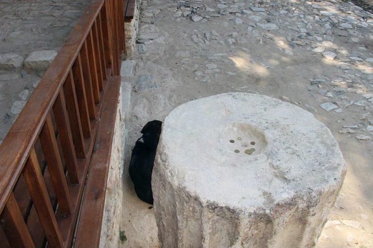 600 Yıllık ’sadaka Taşı’ Hayvanlara Umut Oldu G4