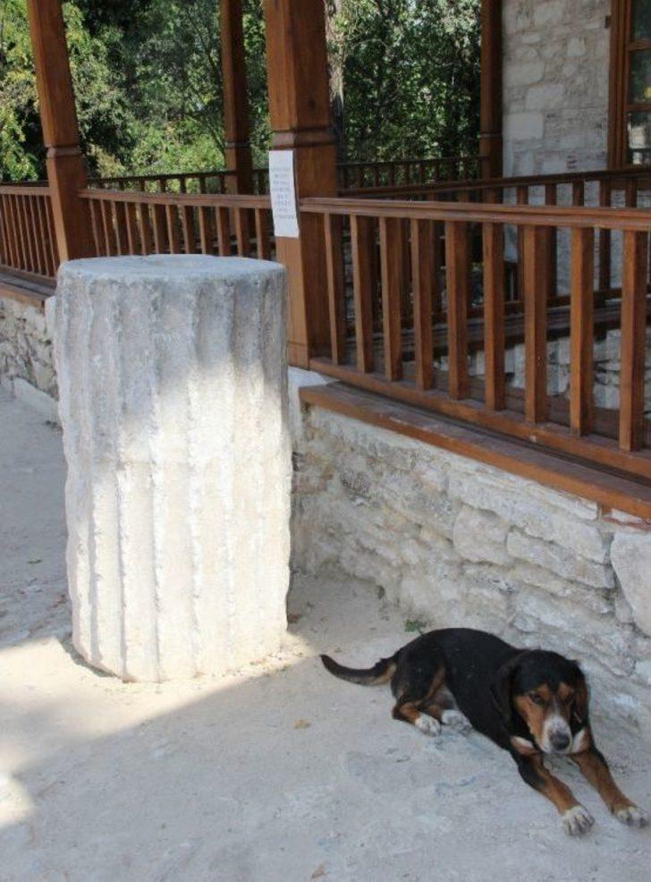 600 Yıllık ’sadaka Taşı’ Hayvanlara Umut Oldu G5