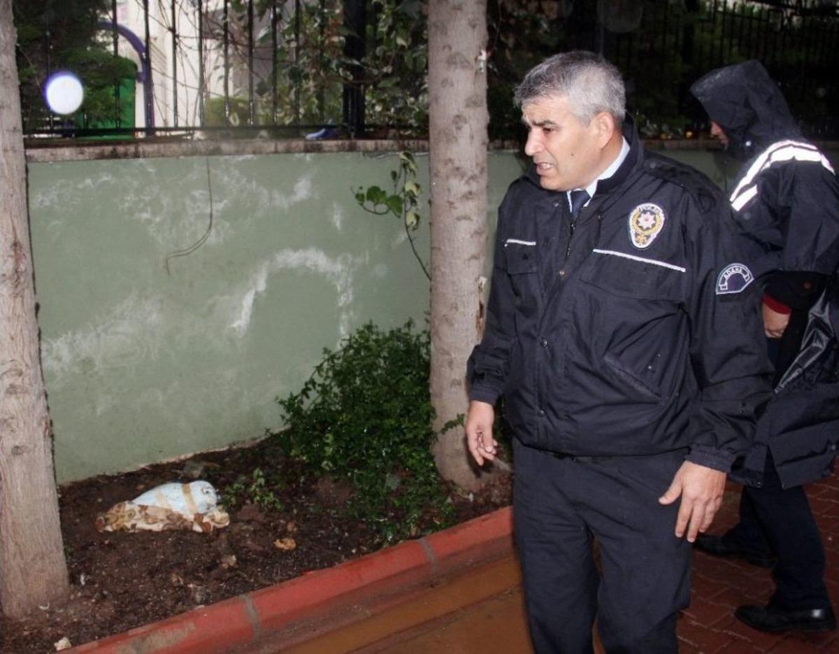 Veteriner Hekimin G&ouml;md&uuml;ğ&uuml; Kedi Polisi Alarma Ge&ccedil;irdi