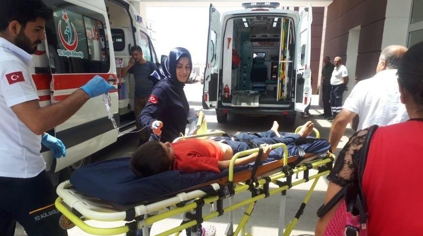 Atın Teptiği &Ccedil;ocuk Yaralandı