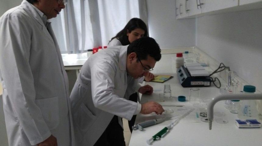 Organ Ve Doku Bekleyen Hastaları Umutlandıracak Haber