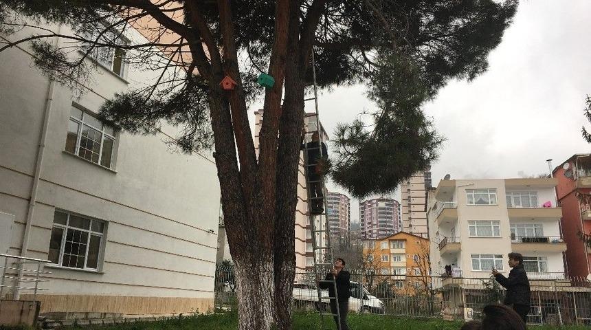 Kuşlar İster, &Ouml;ğrenciler Yapar