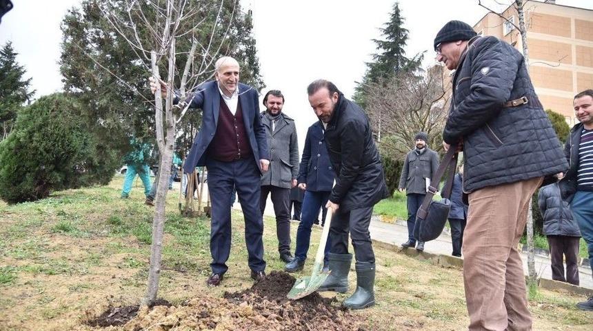 Daha Yeşil İzmit İ&ccedil;in Yuvam&rsquo;a Y&uuml;zlerce Fidan Dikildi