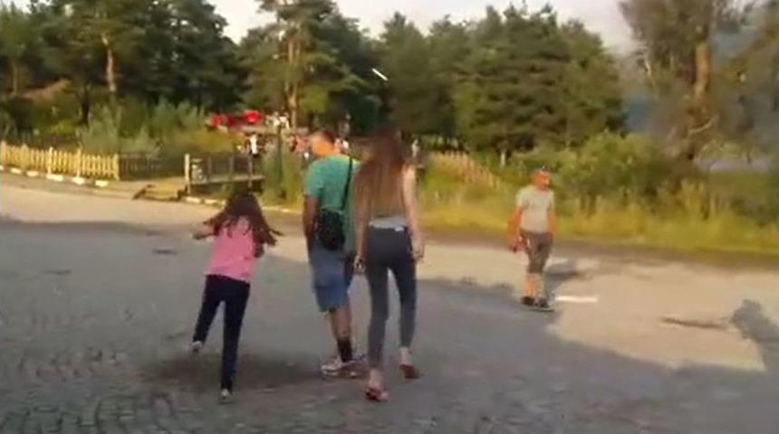 Abant Tabiat Parkı’nı Yavru Kurbağalar İstila Etti