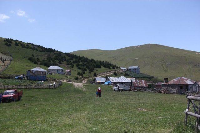 Giresun’da Pkk’lılar Kıskaca Alındı