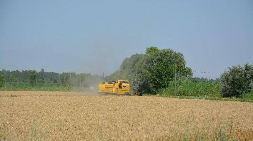 &ldquo;tarım Ve Gıdada Akıllı Yatırımlar Hızla B&uuml;y&uuml;yor&rdquo;