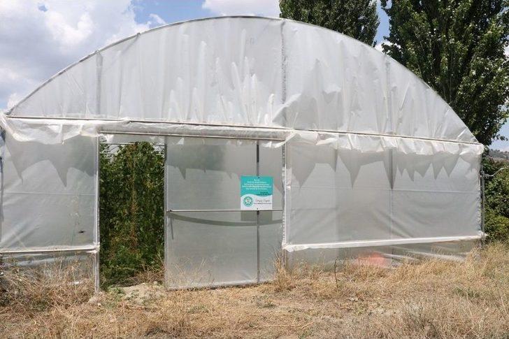 Sera Destekleri Üreticinin Yüzünü Güldürdü G2