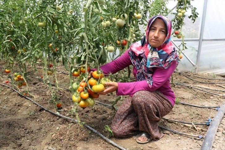 Sera Destekleri Üreticinin Yüzünü Güldürdü G4