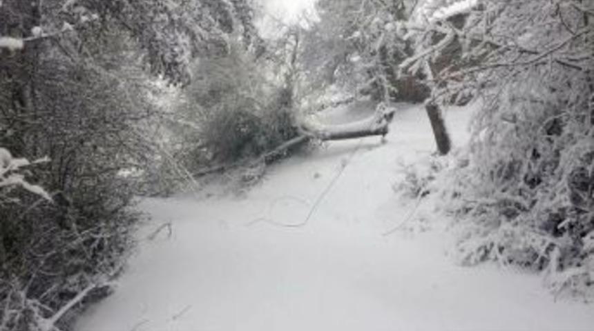 Kopan Elektrik Tellerini Onarmak İsterken Akıma Kapıldı