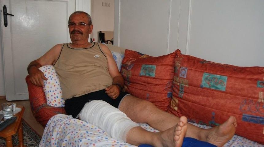 Yılan Korkusu Bacağını Kestirdi