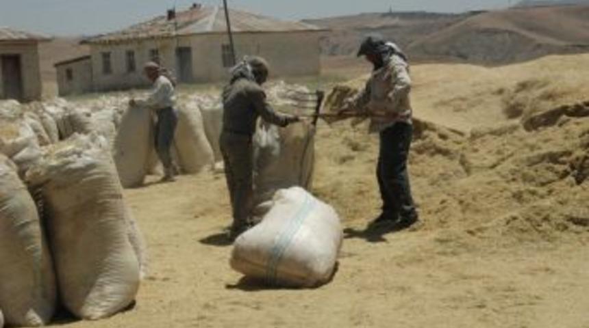 50 Bin Ton Hububat Alımı Ger&ccedil;ekleştirildi