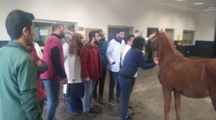 &Ouml;ğrencilere Hipodromda Uygulamalı Eğitim