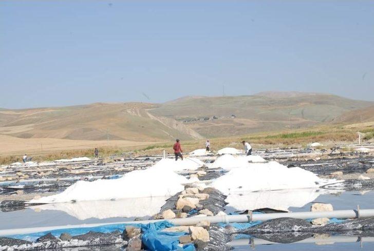 Aktuzla’da Günde 120 Ton Tuz Üretiliyor G1