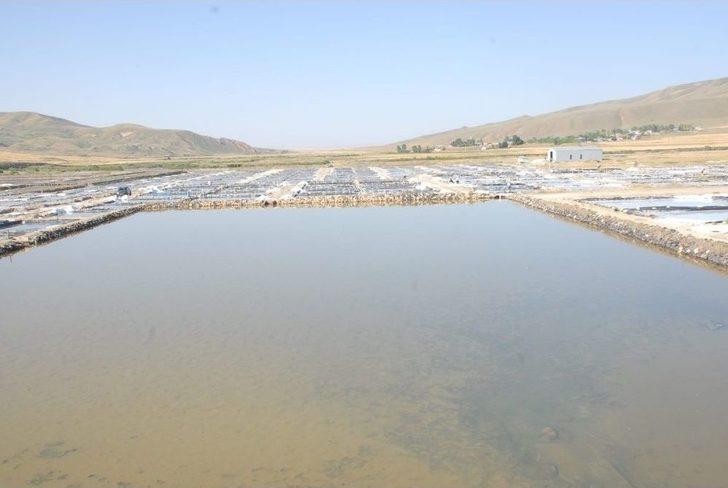 Aktuzla’da Günde 120 Ton Tuz Üretiliyor G4