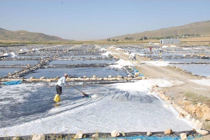 Aktuzla’da Günde 120 Ton Tuz Üretiliyor G5